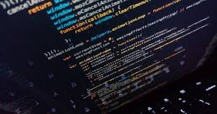 WordPress vs. Custom Development: Which One Is Right for You?